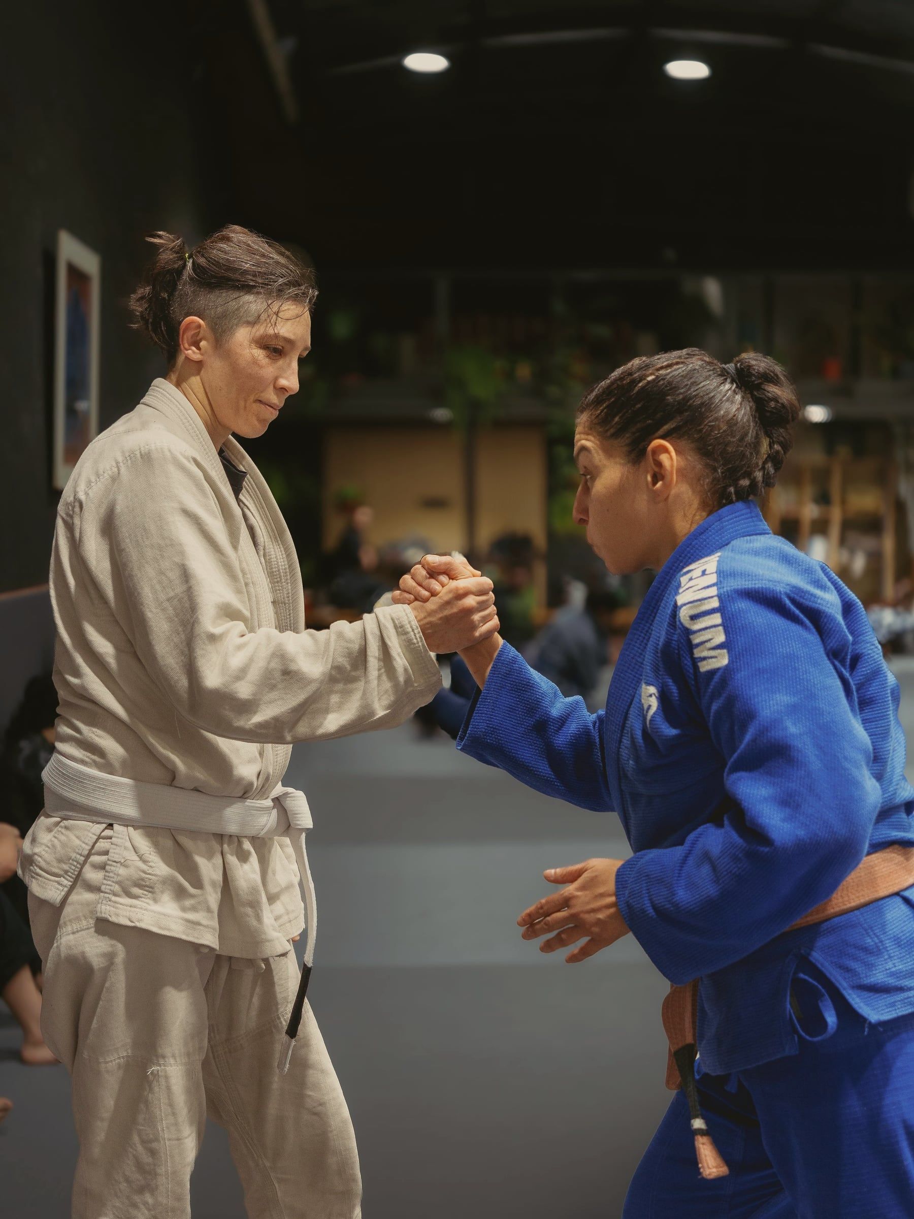 Disputa de pegada na gola e na manga durante treino de jiu-jitsu